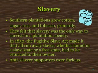Slavery Southern plantations grew cotton,  sugar, rice, and tobacco, primarily.  They felt that slavery was the only way to survive in a plantation society. In 1850, the Fugitive Slave Act made it that all run away slaves, whether found in a slave state or a free state, had to be returned to their owner. Anti-slavery supporters were furious. π 