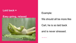 Laid back =
Easy going, relaxed
Example:
We should all be more like
Carl, he is so laid back
and is never stressed.
 