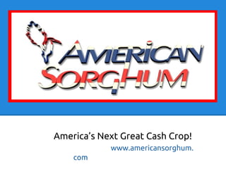 America’s Next Great Cash Crop!
www.americansorghum.
com

 