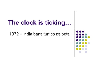 American Tortoise Rescue  The Clock Is Ticking