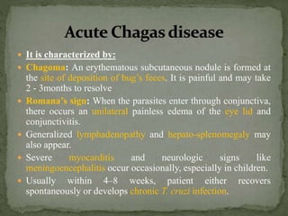  It is characterized by:
 Chagoma: An erythematous subcutaneous nodule is formed at
the site of deposition of bug’s feces. It is painful and may take
2 - 3months to resolve
 Romana’s sign: When the parasites enter through conjunctiva,
there occurs an unilateral painless edema of the eye lid and
conjunctivitis.
 Generalized lymphadenopathy and hepato-splenomegaly may
also appear.
 Severe myocarditis and neurologic signs like
meningoencephalitis occur occasionally, especially in children.
 Usually within 4–8 weeks, patient either recovers
spontaneously or develops chronic T. cruzi infection.
 