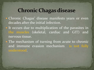  Chronic Chagas’ disease manifests years or even
decades after the initial infection.
 It occurs due to multiplication of the parasites in
the muscles (skeletal, cardiac and GIT) and
nervous tissue.
 The mechanism of turning from acute to chronic
and immune evasion mechanism is not fully
understood.
 