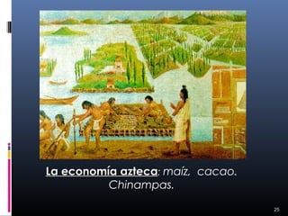 La economía azteca: maíz, cacao.
          Chinampas.

                                   25
 