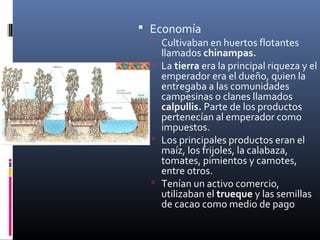 Economía
   Cultivaban en huertos flotantes
    llamados chinampas.
   La tierra era la principal riqueza y el
    emperador era el dueño, quien la
    entregaba a las comunidades
    campesinas o clanes llamados
    calpullis. Parte de los productos
    pertenecían al emperador como
    impuestos.
   Los principales productos eran el
    maíz, los frijoles, la calabaza,
    tomates, pimientos y camotes,
    entre otros.
   Tenían un activo comercio,
    utilizaban el trueque y las semillas
    de cacao como medio de pago
 