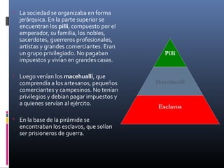  La sociedad se organizaba en forma
  jerárquica. En la parte superior se
  encuentran los pilli, compuesto por el
  emperador, su familia, los nobles,
  sacerdotes, guerreros profesionales,
  artistas y grandes comerciantes. Eran
  un grupo privilegiado. No pagaban           Pilli
  impuestos y vivían en grandes casas.

 Luego venían los macehualli, que
  comprendía a los artesanos, pequeños     Macehualli
  comerciantes y campesinos. No tenían
  privilegios y debían pagar impuestos y
  a quienes servían al ejército.
                                            Esclavos
 En la base de la pirámide se
  encontraban los esclavos, que solían
  ser prisioneros de guerra.
 
