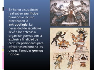  En honor a sus dioses
  realizaban sacrificios
  humanos e incluso
  practicaban la
  antropofagia. La
  necesidad de sacrificios
  llevó a los aztecas a
  organizar guerras con la
  exclusiva finalidad de
  capturar prisioneros para
  ofrecerlos en honor a los
  dioses, llamadas guerras
  floridas.
 