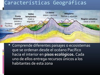 Características Geográficas




  Comprende diferentes paisajes o ecosistemas
   que se ordenan desde el océano Pacífico
   hacia el interior en pisos ecológicos. Cada
   uno de ellos entrega recursos únicos a los
   habitantes de esta zona
 