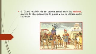  El último eslabón de su cadena social eran los esclavos,
muchos de ellos prisioneros de guerra y que se utilizan en los
sacrificios
 