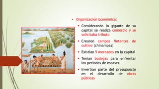 • Organización Económica:
 Considerando lo gigante de su
capital se realiza comercio y se
solicitaba tributo
 Crearon campos flotantes de
cultivo (chinampas)
 Existían 5 mercados en la capital
 Tenían bodegas para enfrentar
los períodos de escasez
 Invertían parte del presupuesto
en el desarrollo de obras
públicas
 