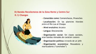 D.1) Changos
• Conocidos como: Camanchacas, Proanches
• Localización: En las planicies litorales
entre el Río Loa al Choapa
• Nivel evolutivo: Arcaico
• Lengua: Desconocida
• Organización social: Sin clases sociales,
eran bandas nómades de carácter costero
• Organización política: A través de un jefe
• Organización económica: Pescadores y
mariscadores (“conchales”)
D) Bandas Recolectoras de la Zona Norte y Centro Sur
 