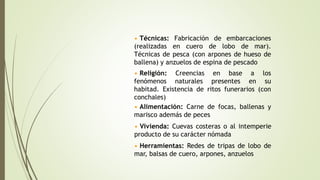 • Técnicas: Fabricación de embarcaciones
(realizadas en cuero de lobo de mar).
Técnicas de pesca (con arpones de hueso de
ballena) y anzuelos de espina de pescado
• Religión: Creencias en base a los
fenómenos naturales presentes en su
habitad. Existencia de ritos funerarios (con
conchales)
• Vivienda: Cuevas costeras o al intemperie
producto de su carácter nómada
• Alimentación: Carne de focas, ballenas y
marisco además de peces
• Herramientas: Redes de tripas de lobo de
mar, balsas de cuero, arpones, anzuelos
 