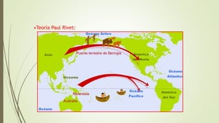 •Teoría Paul Rivet:
 