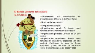E.1) Chonos
• Localización: Islas meridionales del
archipiélago de Chiloé y el Golfo de Penas
• Nivel evolutivo: Arcaico
• Lengua: Mapudungún
• Organización social: En bandas semi
nómadas sin distinciones de clase social
• Organización política: Carecían de un jefe
central
• Organización económica: Bandas semi
nómadas de pescadores, cazadores (de lobo
marino). Cultivaban la papa de forma
esporádica y sólo en caso de necesidad
frente a una mala época de pesca y caza
E) Bandas Canoeras Zona Austral
 