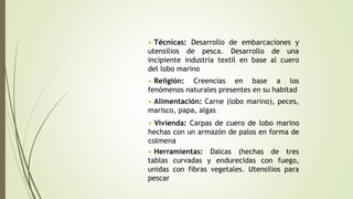 • Técnicas: Desarrollo de embarcaciones y
utensilios de pesca. Desarrollo de una
incipiente industria textil en base al cuero
del lobo marino
• Religión: Creencias en base a los
fenómenos naturales presentes en su habitad
• Vivienda: Carpas de cuero de lobo marino
hechas con un armazón de palos en forma de
colmena
• Alimentación: Carne (lobo marino), peces,
marisco, papa, algas
• Herramientas: Dalcas (hechas de tres
tablas curvadas y endurecidas con fuego,
unidas con fibras vegetales. Utensilios para
pescar
 