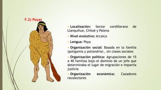 F.2) Poyas
• Localización: Sector cordillerano de
Llanquihue, Chiloé y Palena
• Nivel evolutivo: Arcaico
• Lengua: Poya
• Organización social: Basada en la familia
(poligamia y poliandria) , sin clases sociales
• Organización política: Agrupaciones de 15
a 40 familias bajo el dominio de un jefe que
determinaba el lugar de migración e impartía
justicia
• Organización económica: Cazadores
recolectores
 