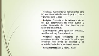 • Técnicas: Rudimentarias herramientas para
la caza. Desarrollo del camuflaje (con cueros
y plumas) para la caza
• Religión: Creencia en la existencia de un
ser que determinaba las cosas buenas y
malas. Desarrollo de ritos fúnebres con
sacrificio de animales
• Vivienda: Toldo consistente en una
estructura sencilla o armazón de palos, que
recubrían con pieles de guanaco y se
orientaba hacia donde soplaba el viento
• Alimentación: Carne (guanaco, avestruz),
semillas, raíces y frutos silvestres
• Herramientas: Arco y flecha, mazo
 