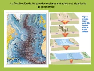 La Distribución de las grandes regiones naturales y su significado geoeconómico 