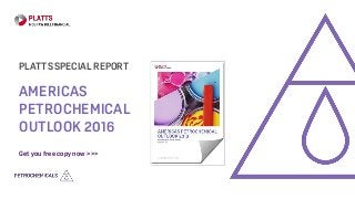 AMERICAS
PETROCHEMICAL
OUTLOOK 2016
PLATTS SPECIAL REPORT
Get you free copy now >>>
 