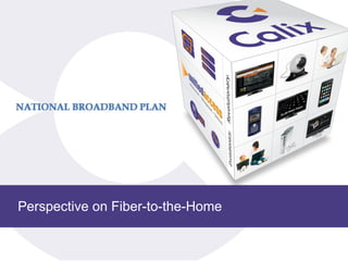 Perspective on Fiber-to-the-Home 
