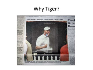Why Tiger?