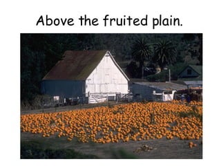 Above the fruited plain. 