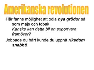 Här fanns möjlighet att odla nya grödor så 
som majs och tobak. 
Kanske kan detta bli en exportvara 
framöver? 
Jobbade du hårt kunde du uppnå rikedom 
snabbt! 
 