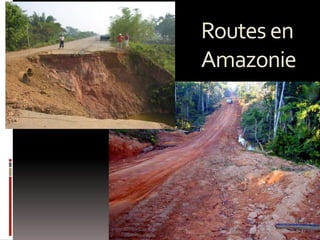 Routes en
Amazonie
 