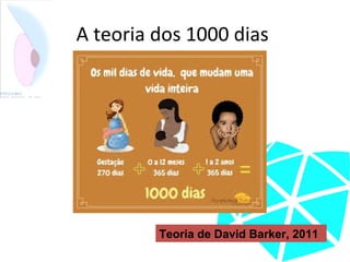 A teoria dos 1000 dias
Teoria de David Barker, 2011
 