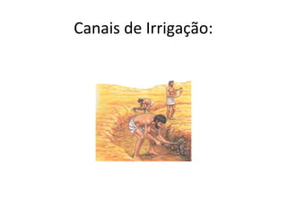 Canais de Irrigação:

 