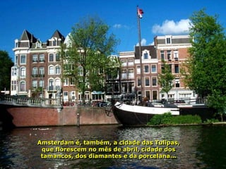 Amsterdam é, também, a cidade das Tulipas,
 que florescem no mês de abril, cidade dos
 tamancos, dos diamantes e da porcelana...
 