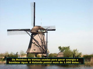 Os Moinhos de Ventos usados para gerar energia e
bombear água. A Holanda possui mais de 1.000 deles...
 