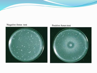 Ames test | PPTX