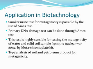 Ames test | PPTX