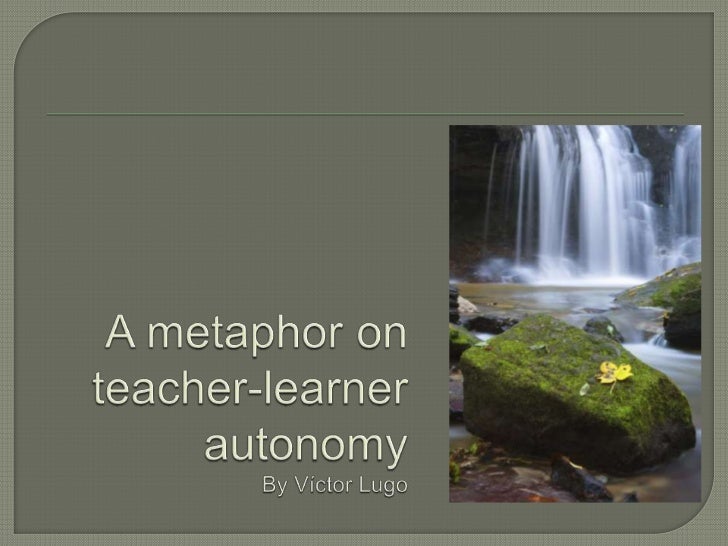 A metaphor on teacher learner autonomy