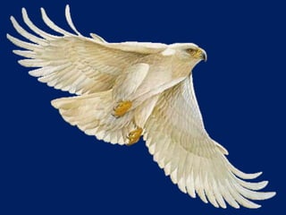 Invista na organização do seu trabalho.