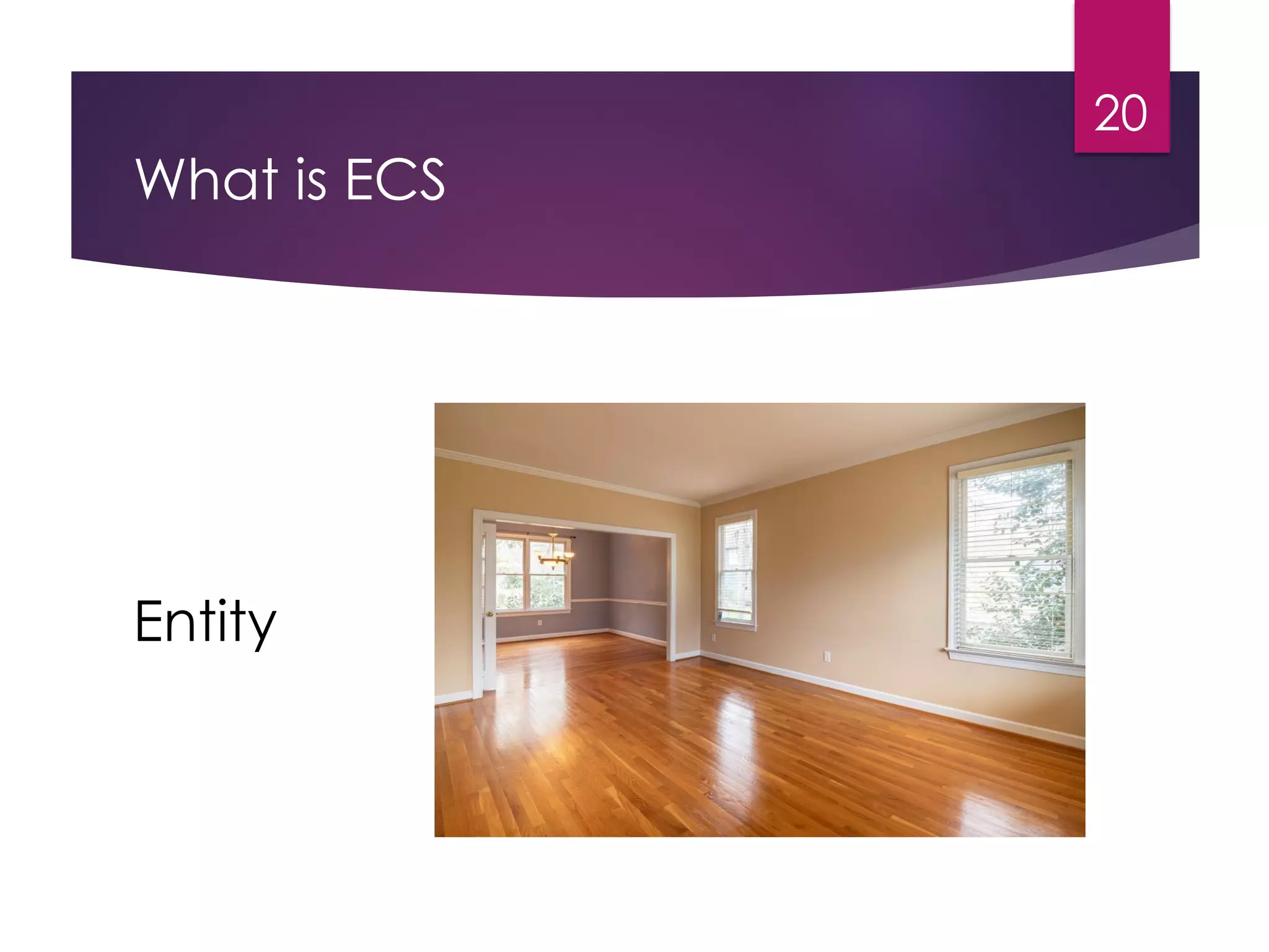 What is ECS
20
Entity
 