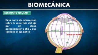 BIOMECÁNICA
MERIDIANO OCULAR
Es la curva de intersección
sobre la superficie del ojo
por un plano
perpendicular a ella y que
contiene al eje óptico
 