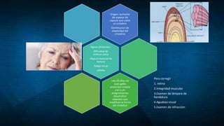 Origen: aumento
de espesor de
capsula que cubre
el cristalino
Disminucion de
elasticidad del
cristalino
Signos ySintomas :
Dificultad de
enfocar cerca
Aleja el material de
lectura
Fatiga visual
cefalea
+de 50 años no
usan gafas
presentan miopía
con o sin
astigmatismoo
desarrollan
cataratas que
modifican la forma
del cristalino
Para corregir
1. retina
2.integridad muscular
3.Examen de lámpara de
hendidura
4.Agudeza visual
5.Examen de refraccion
 