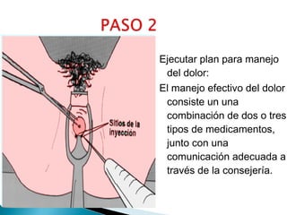 Ejecutar plan para manejo
del dolor:
El manejo efectivo del dolor
consiste un una
combinación de dos o tres
tipos de medicamentos,
junto con una
comunicación adecuada a
través de la consejería.

 