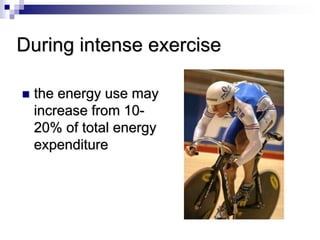 During intense exercise
 the energy use may
increase from 10-
20% of total energy
expenditure
 