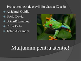 Proiect realizat de elevii din clasa a IX-a B:
 Avădanei Ovidiu
 Baciu David
 Brînzilă Emanuel
 Creţu Delia
 Tofan Alexandra
Mulţumim pentru atenţie!
 
