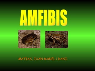 AMFIBIS MATIAS, JUAN MANEL i DANI. 