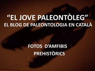 “EL JOVE PALEONTÒLEG”
EL BLOG DE PALEONTOLOGIA EN CATALÀ
FOTOS D’AMFIBIS
PREHISTÒRICS
 