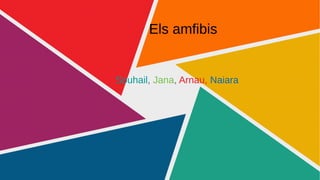 Els amfibis
Souhail, Jana, Arnau, Naiara
 