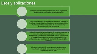 Usos y aplicaciones
Investigación: Uno de los primeros usos de los organismos
genéticamente modificados fue la investigación
Fabricación de productos terapéticos: Hoy en día, bacterias y
levaduras transgénicas, modificadas con genes para proteínas
humanas, producen compuestos de una manera muy
económica y en gran abundancia.
Producción industrial: La modificación de otros genes permite la
obtención de plantas que sintetizan materiales con
determinadas características interesantes para su uso industrial.
La papa amflora produce un almidón modificado, rico en
amilopectina, que se utiliza en la fabricación de papel, tejidos y
adhesivos.
Alimentos mejorados: El primer alimento genéticamente
modificado autorizado para consumo humano fue el
tomate flavr savr, en 1994.
 