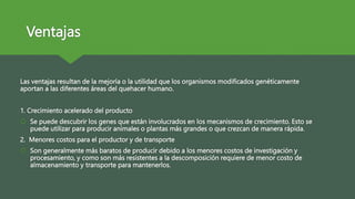 Ventajas
Las ventajas resultan de la mejoría o la utilidad que los organismos modificados genéticamente
aportan a las diferentes áreas del quehacer humano.
1. Crecimiento acelerado del producto
 Se puede descubrir los genes que están involucrados en los mecanismos de crecimiento. Esto se
puede utilizar para producir animales o plantas más grandes o que crezcan de manera rápida.
2. Menores costos para el productor y de transporte
 Son generalmente más baratos de producir debido a los menores costos de investigación y
procesamiento, y como son más resistentes a la descomposición requiere de menor costo de
almacenamiento y transporte para mantenerlos.
 