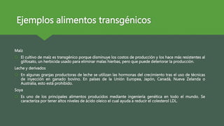 Ejemplos alimentos transgénicos
Maíz
 El cultivo de maíz es transgénico porque disminuye los costos de producción y los hace más resistentes al
glifosato, un herbicida usado para eliminar malas hierbas, pero que puede deteriorar la producción.
Leche y derivados
 En algunas granjas productoras de leche se utilizan las hormonas del crecimiento tras el uso de técnicas
de inyección en ganado bovino. En países de la Unión Europea, Japón, Canadá, Nueva Zelanda o
Australia, esto está prohibido.
Soya
 Es uno de los principales alimentos producidos mediante ingeniería genética en todo el mundo. Se
caracteriza por tener altos niveles de ácido oleico el cual ayuda a reducir el colesterol LDL.
 