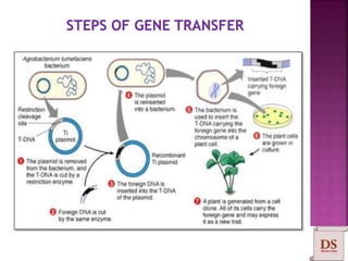 Gene Cloning | PPTX