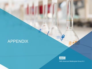 APPENDIX
AMG Advanced Metallurgical Group N.V.
 
