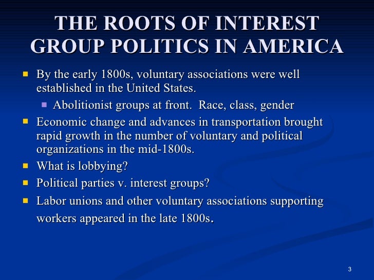 What is the purpose of an interest group?